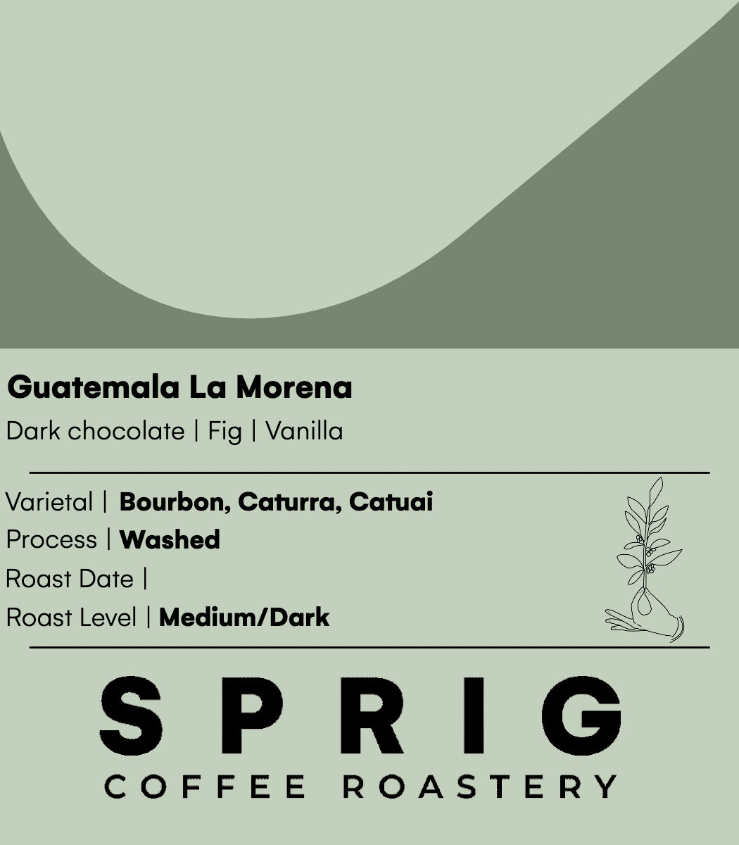 guatemala la morena washed