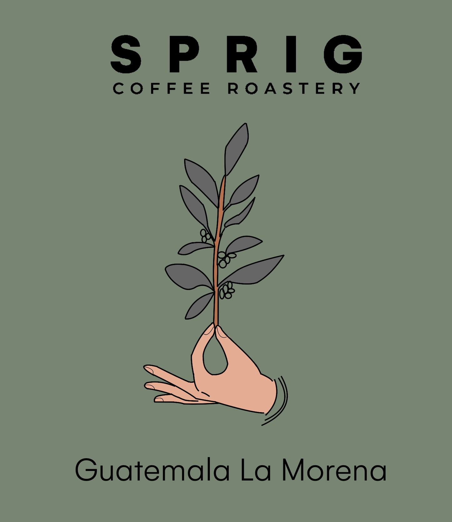 guatemala la morena washed