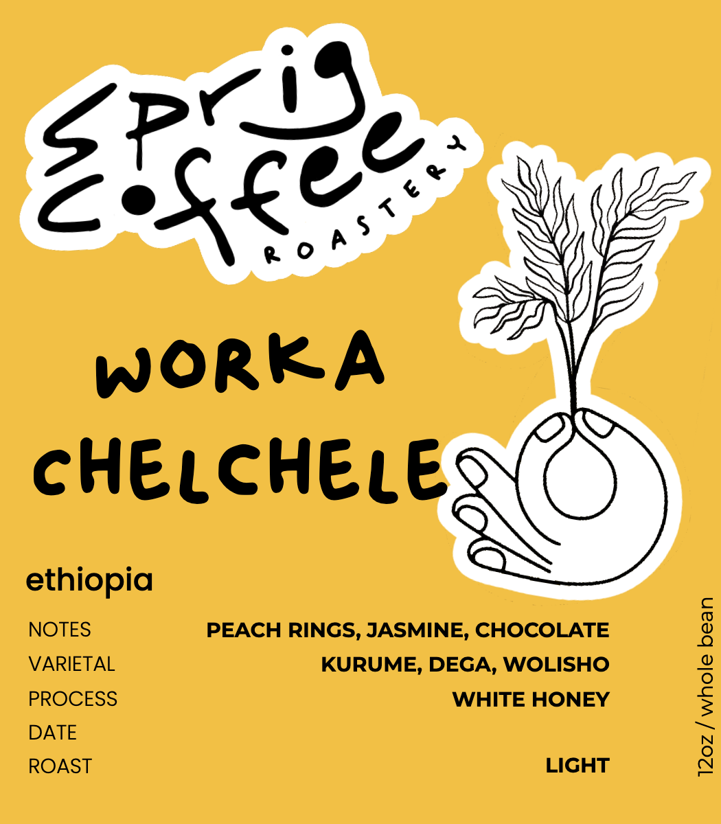 ethiopia worka chelchele white honey