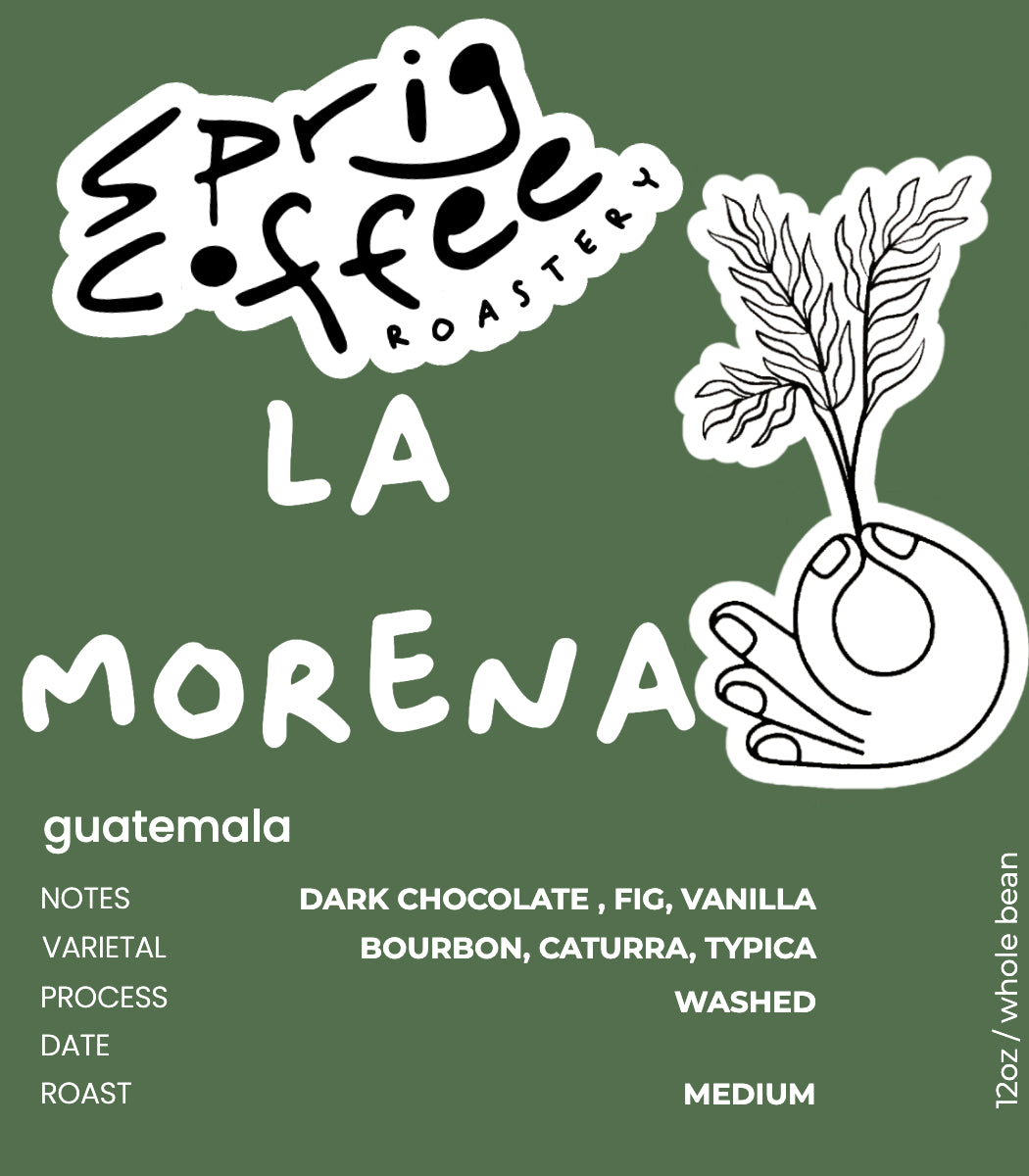 guatemala la morena washed