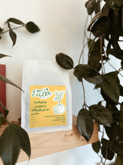 Ethiopia Worka Chelbesa G1 washed coffee – Sprig Coffee Roastery, Redmond, Oregon
