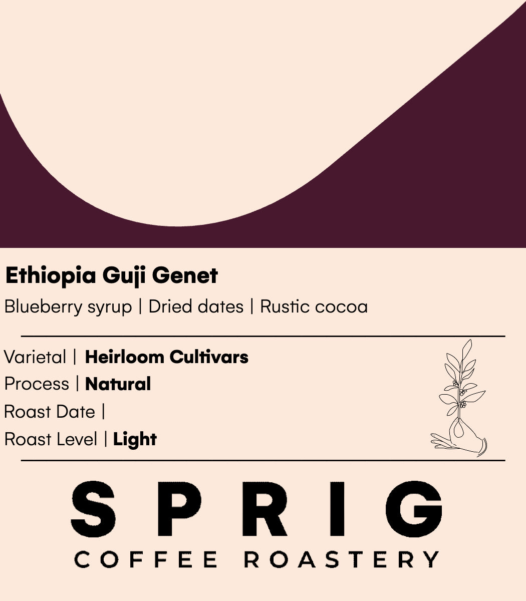 ethiopia guji genet natural
