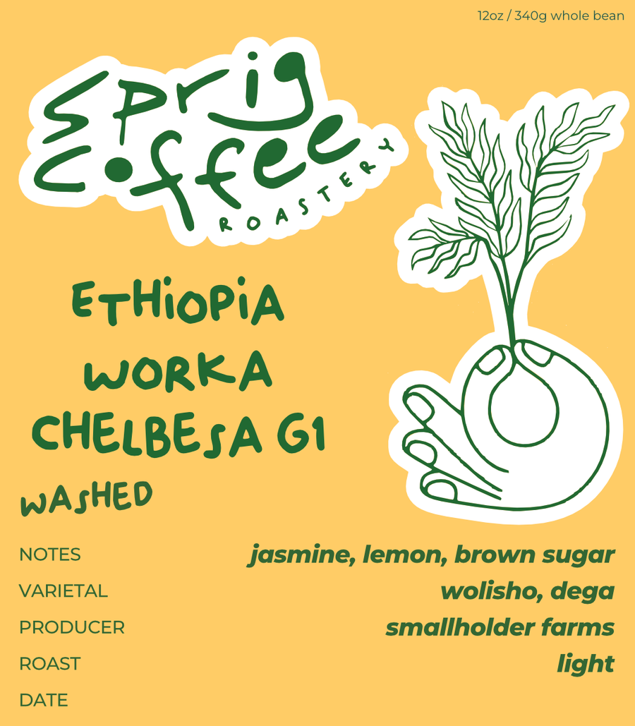 ethiopia worka chelbesa g1 washed