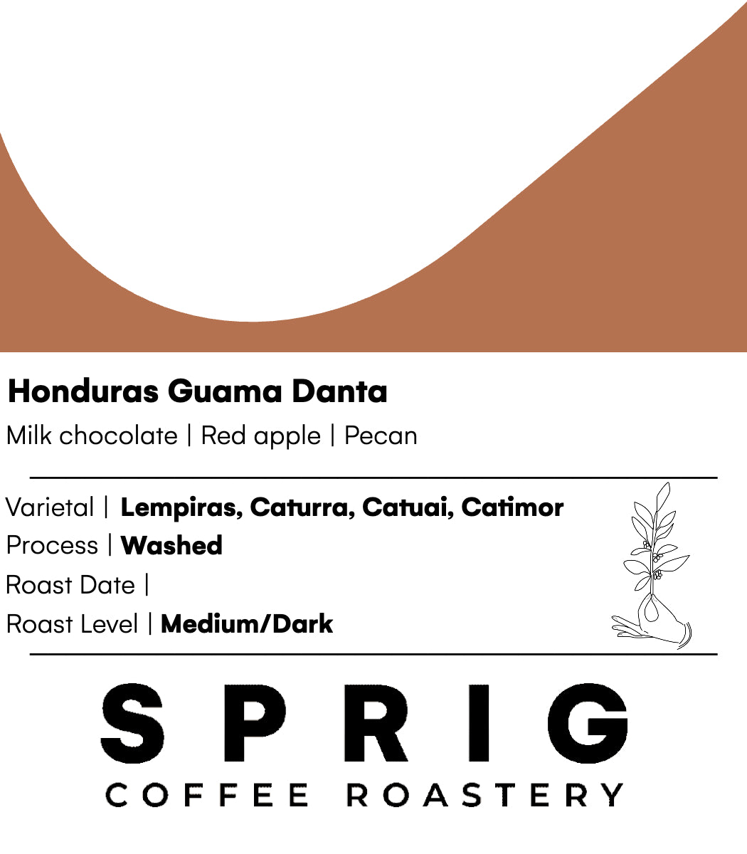 honduras guama danta washed
