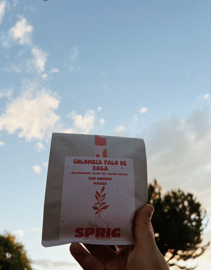 colombia palo de rosa pink bourbon washed