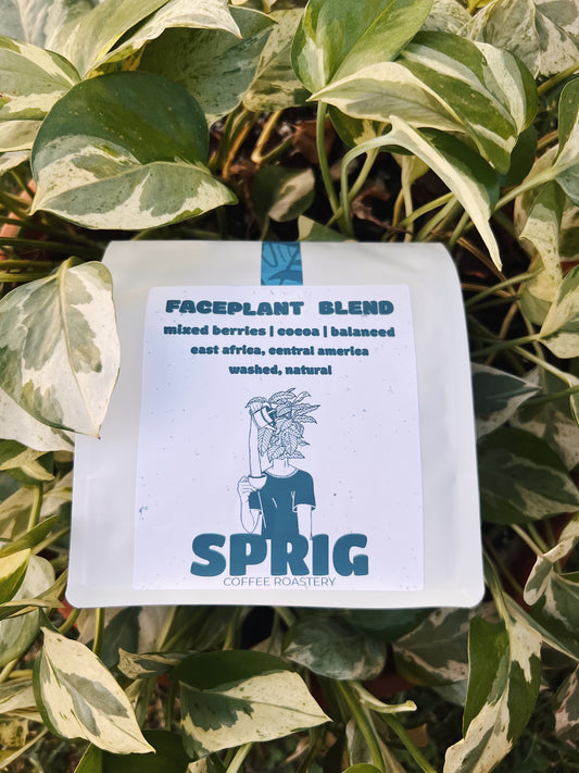 face plant blend