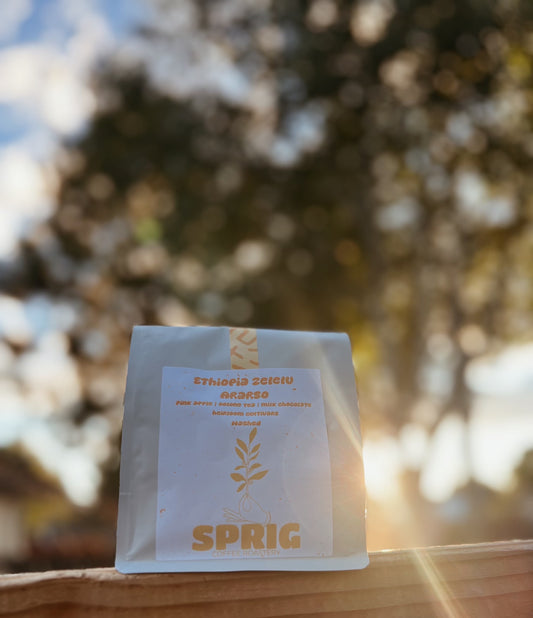 ethiopia zelelu ararso washed