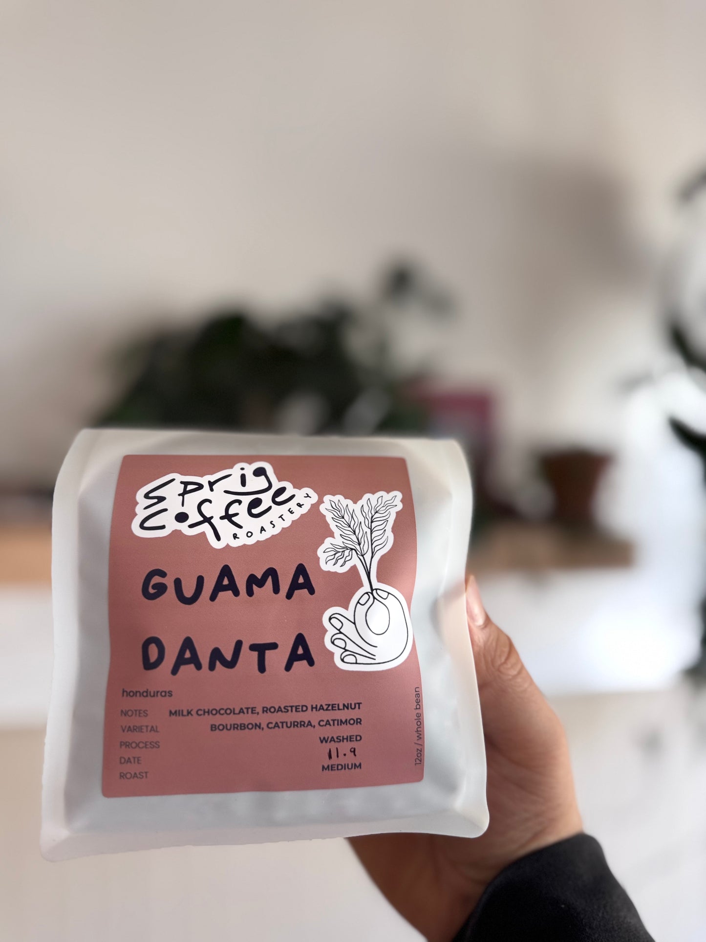 honduras guama danta washed