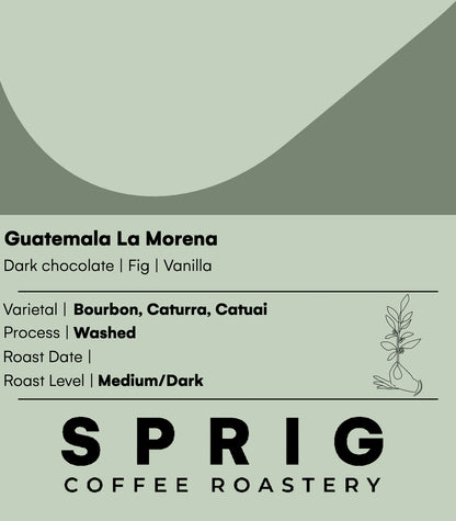 guatemala la morena washed