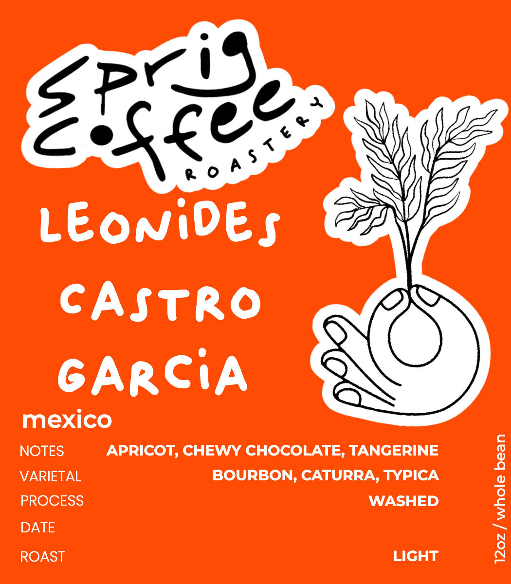 mexico leonides castro garcia washed