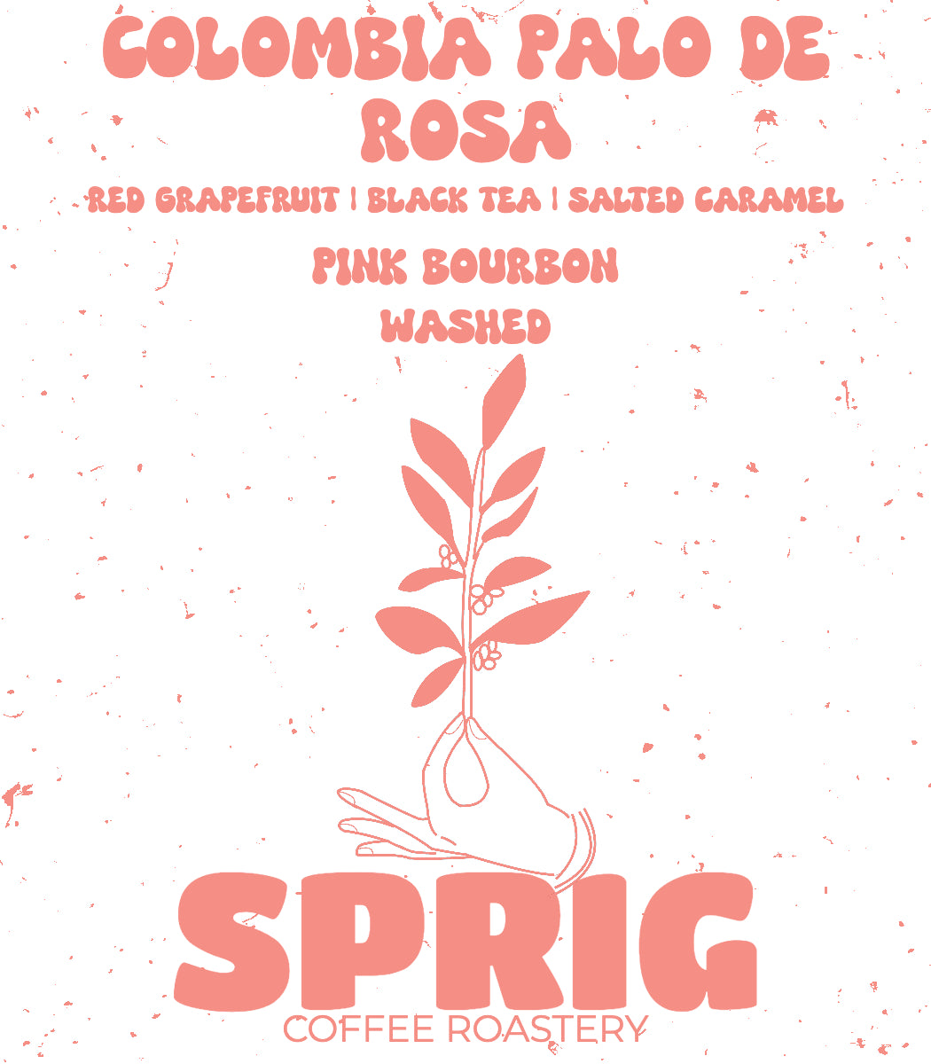 colombia palo de rosa pink bourbon washed
