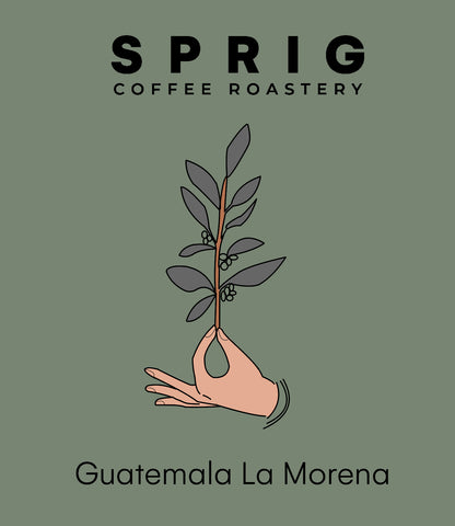 guatemala la morena washed