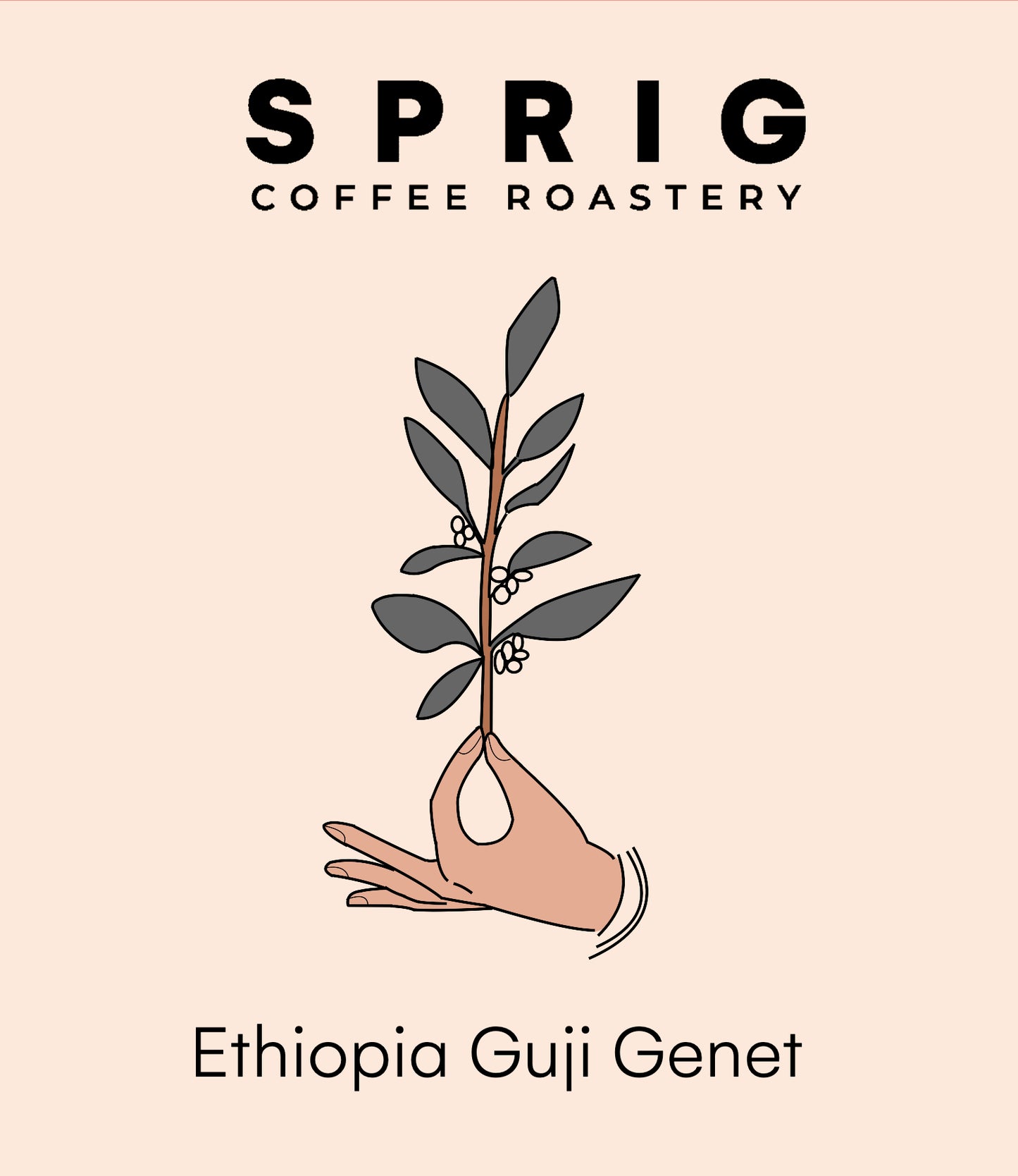 ethiopia guji genet natural