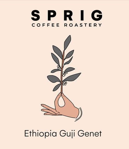 ethiopia guji genet natural