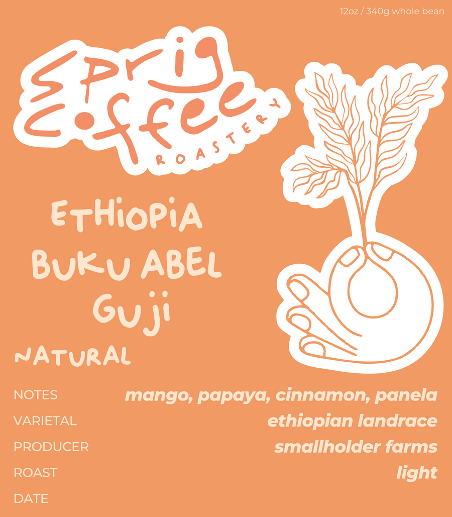 ethiopia dry process buku abel