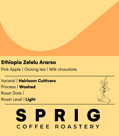 ethiopia zelelu ararso washed