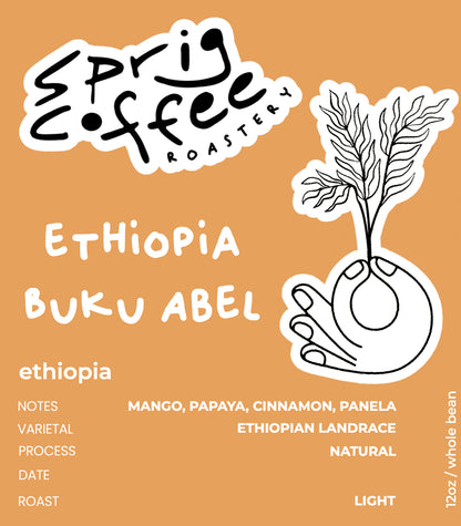 ethiopia dry process buku abel