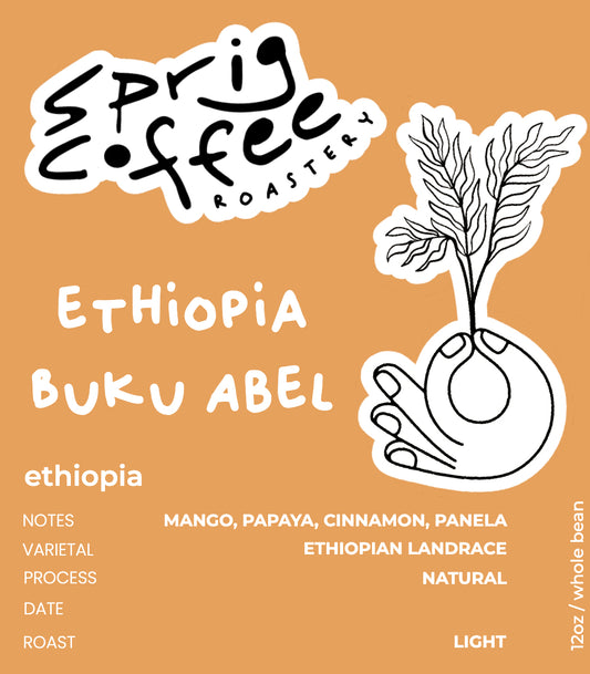 ethiopia dry process buku abel