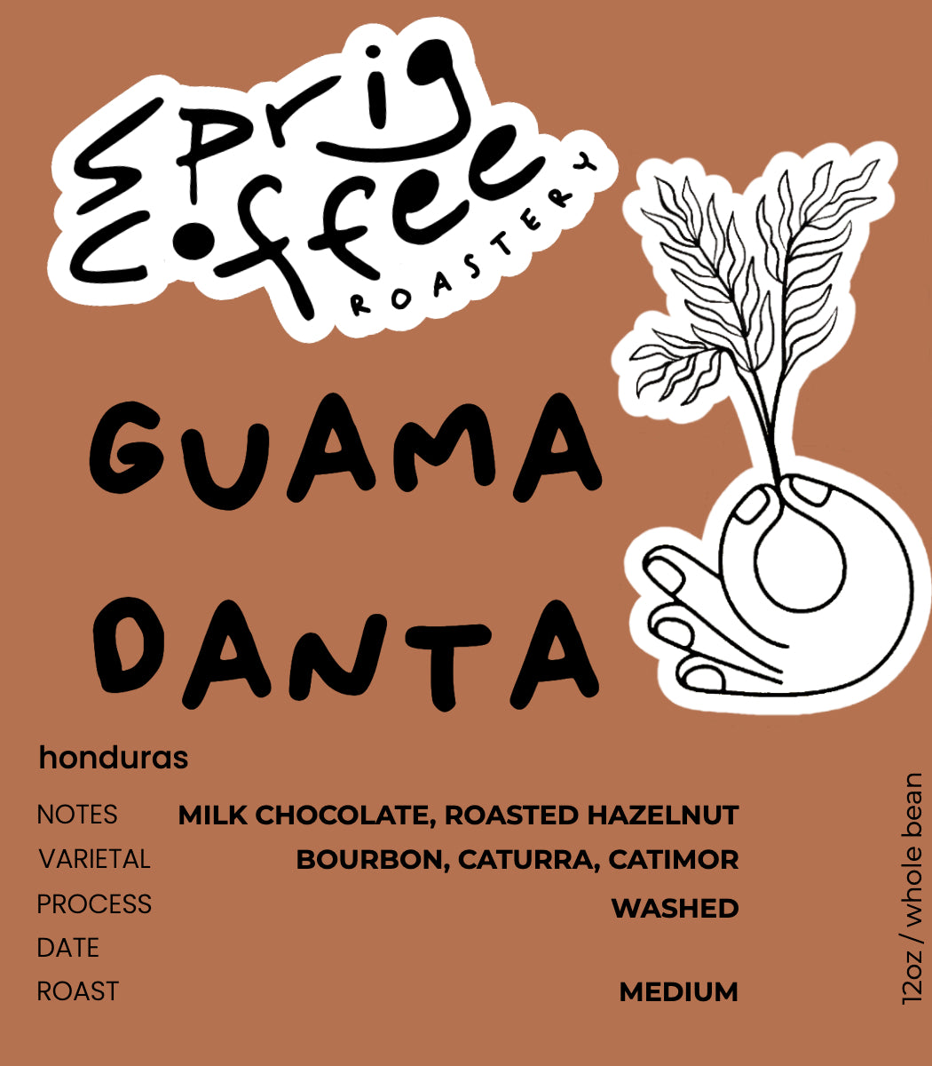 honduras guama danta washed