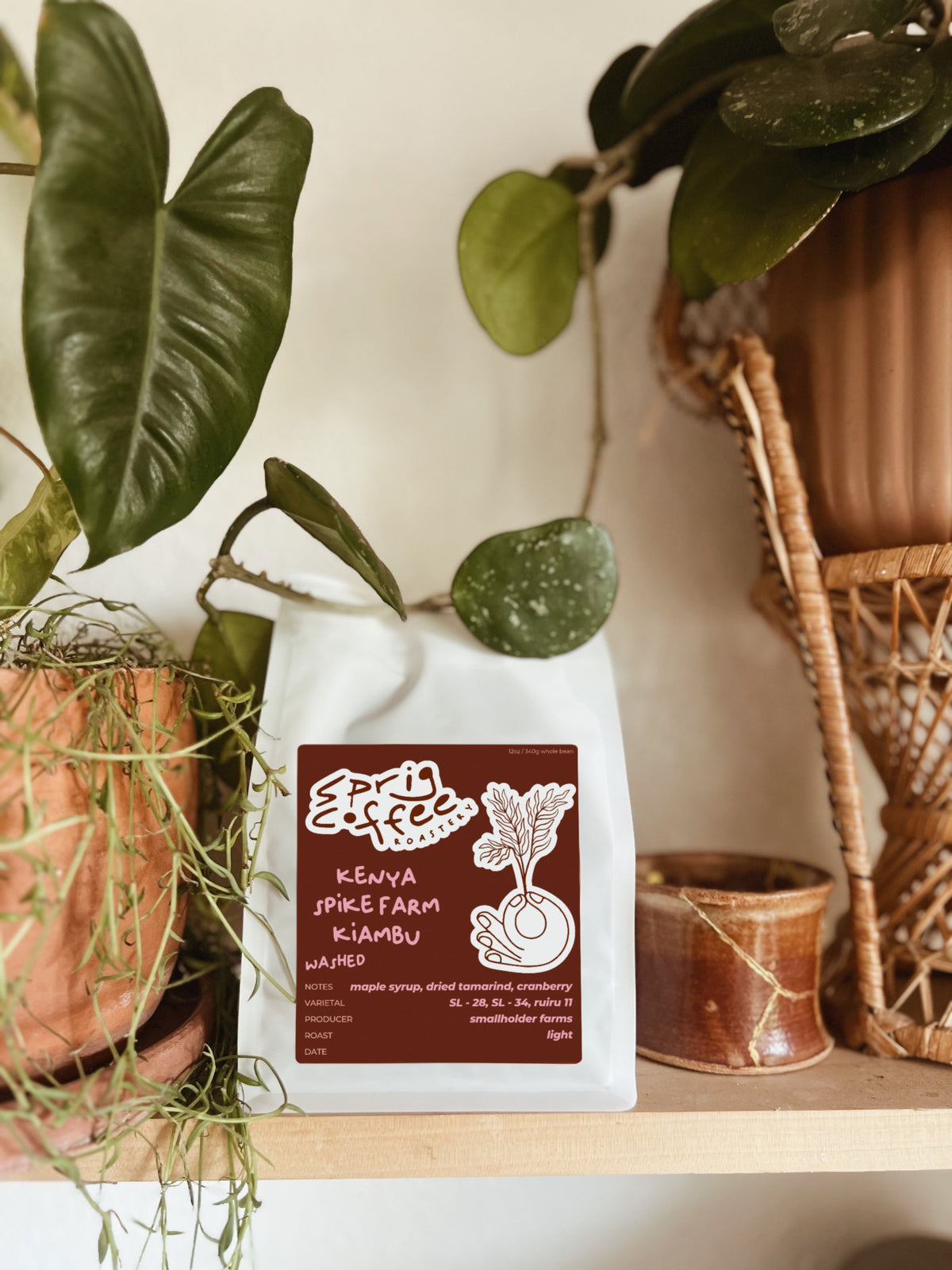 Kenya Kiambu Spike washed coffee – Sprig Coffee Roastery, Redmond, Oregon