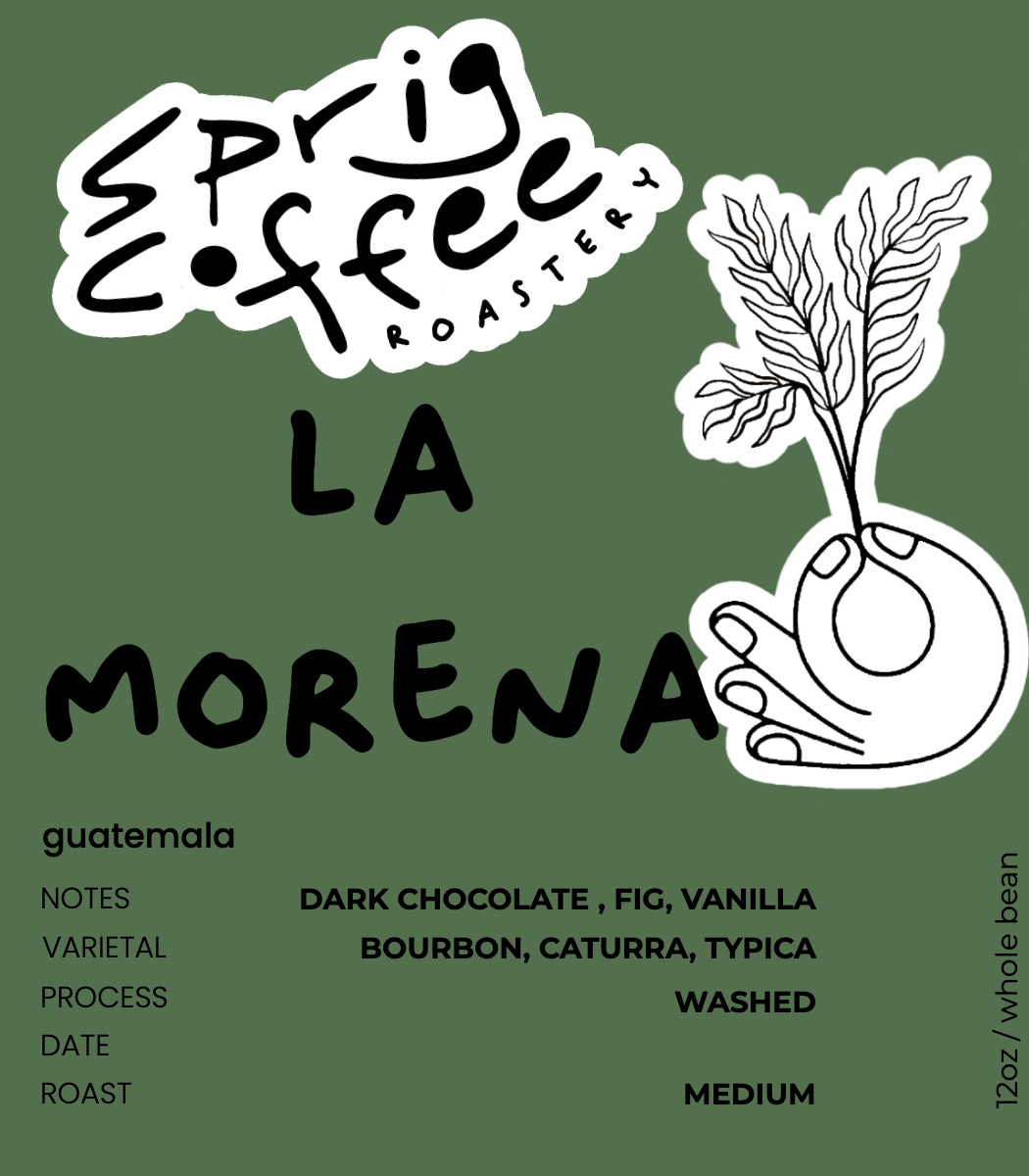 guatemala la morena washed