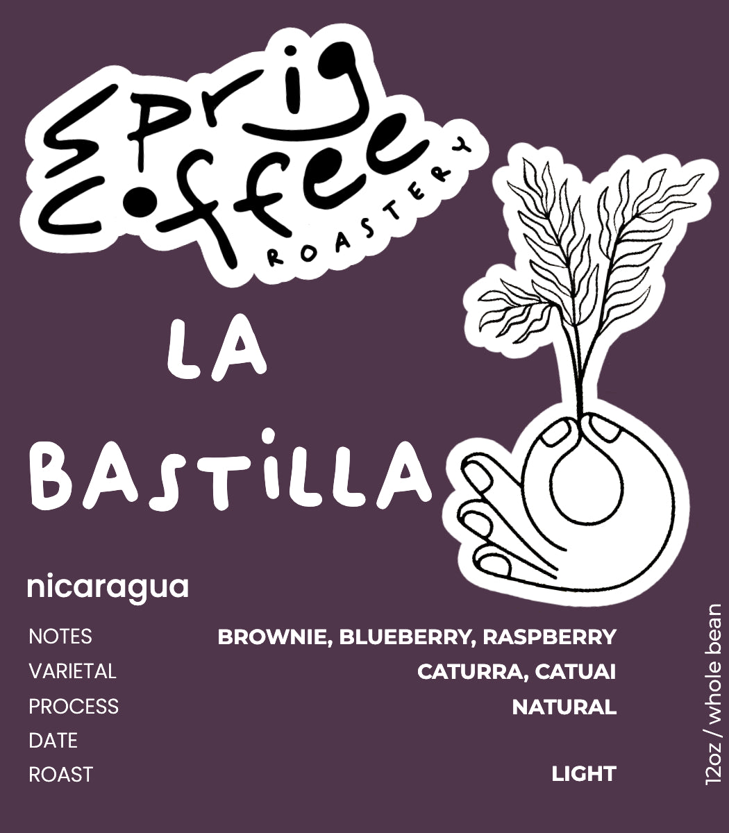 nicaragua la bastilla coffee estates natural