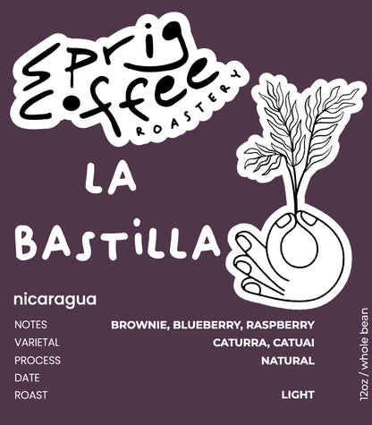 nicaragua la bastilla coffee estates natural